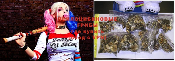 а пвп мука Надым