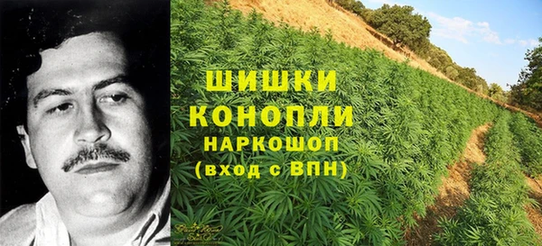 дурь Наволоки